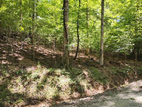 0 Gladstone Court Ellijay GA 30540