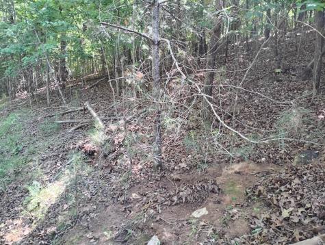 0 Gladstone Court Ellijay GA 30540