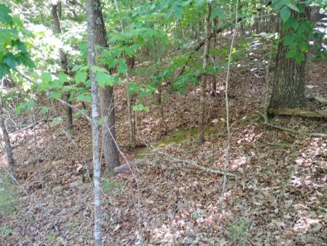 0 Gladstone Court Ellijay GA 30540