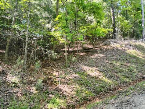0 Gladstone Court Ellijay GA 30540