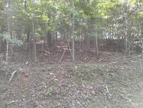 0 Gladstone Court Ellijay GA 30540