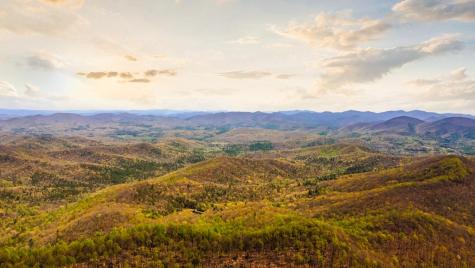 29 Ac Hidden Valley Drive Ellijay GA 30536