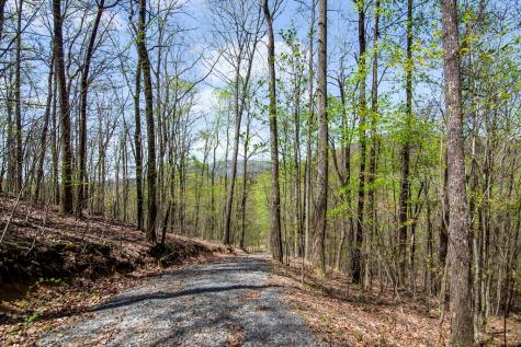 29 Ac Hidden Valley Drive Ellijay GA 30536
