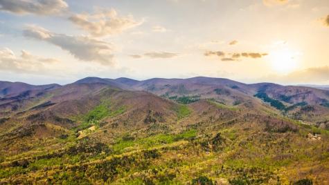 29 Ac Hidden Valley Drive Ellijay GA 30536