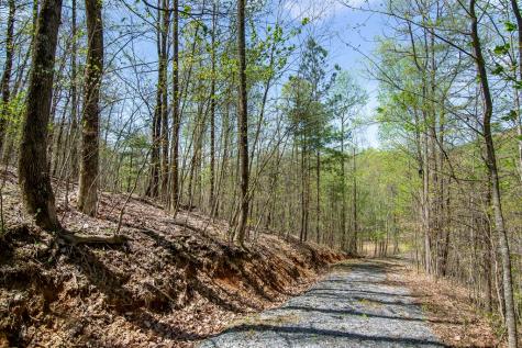 29 Ac Hidden Valley Drive Ellijay GA 30536