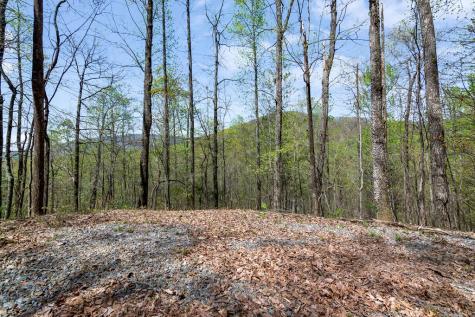29 Ac Hidden Valley Drive Ellijay GA 30536