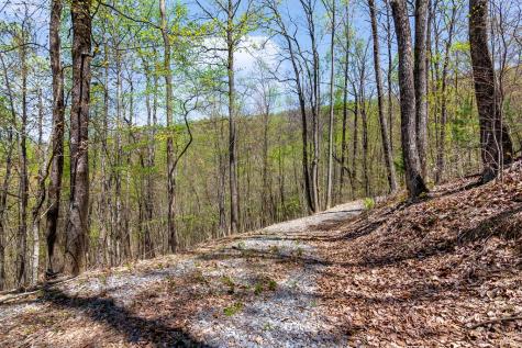 29 Ac Hidden Valley Drive Ellijay GA 30536