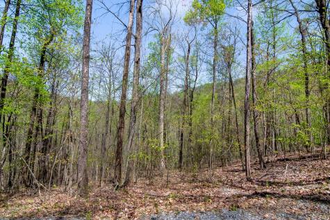 29 Ac Hidden Valley Drive Ellijay GA 30536