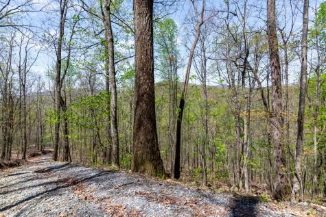 29 Ac Hidden Valley Drive Ellijay GA 30536