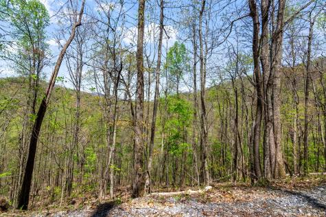 29 Ac Hidden Valley Drive Ellijay GA 30536