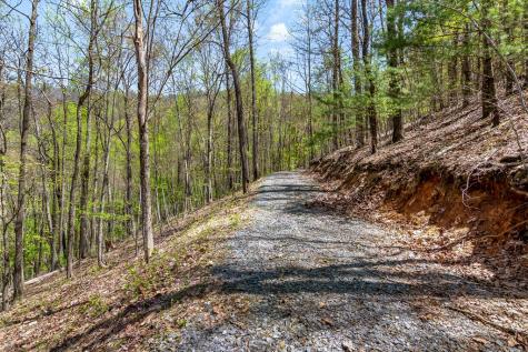 29 Ac Hidden Valley Drive Ellijay GA 30536