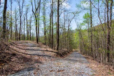 29 Ac Hidden Valley Drive Ellijay GA 30536