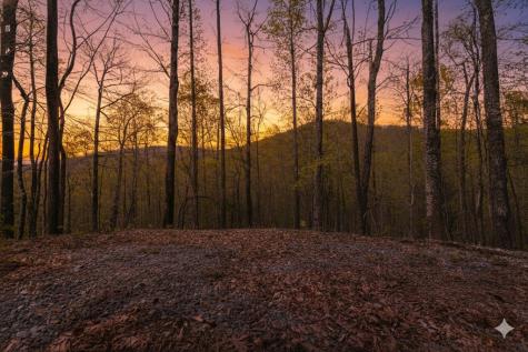 29 Ac Hidden Valley Drive Ellijay GA 30536