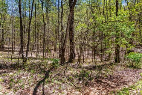 29 Ac Hidden Valley Drive Ellijay GA 30536