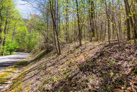 29 Ac Hidden Valley Drive Ellijay GA 30536