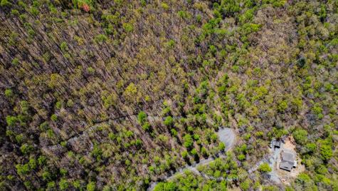 29 Ac Hidden Valley Drive Ellijay GA 30536