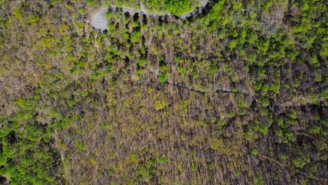 29 Ac Hidden Valley Drive Ellijay GA 30536