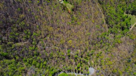 29 Ac Hidden Valley Drive Ellijay GA 30536