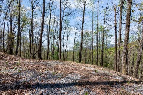 29 Ac Hidden Valley Drive Ellijay GA 30536