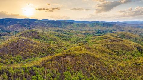 29 Ac Hidden Valley Drive Ellijay GA 30536