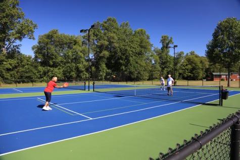 101 Foggy Mountain Road Blairsville GA 30512