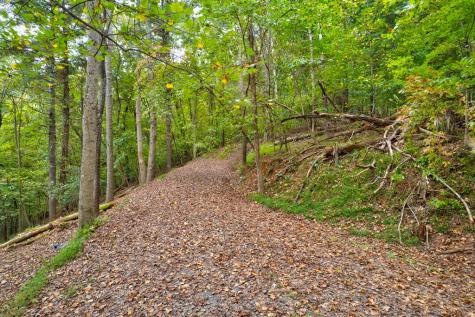 99&102R Ponca Court Ellijay GA 30540