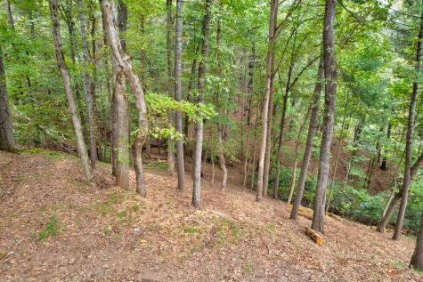 99&102R Ponca Court Ellijay GA 30540