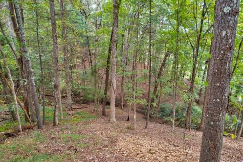 99&102R Ponca Court Ellijay GA 30540