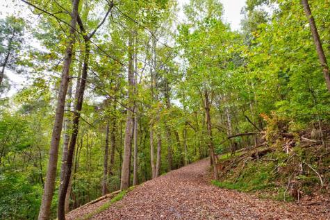 99&102R Ponca Court Ellijay GA 30540