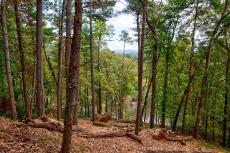 99&102R Ponca Court Ellijay GA 30540