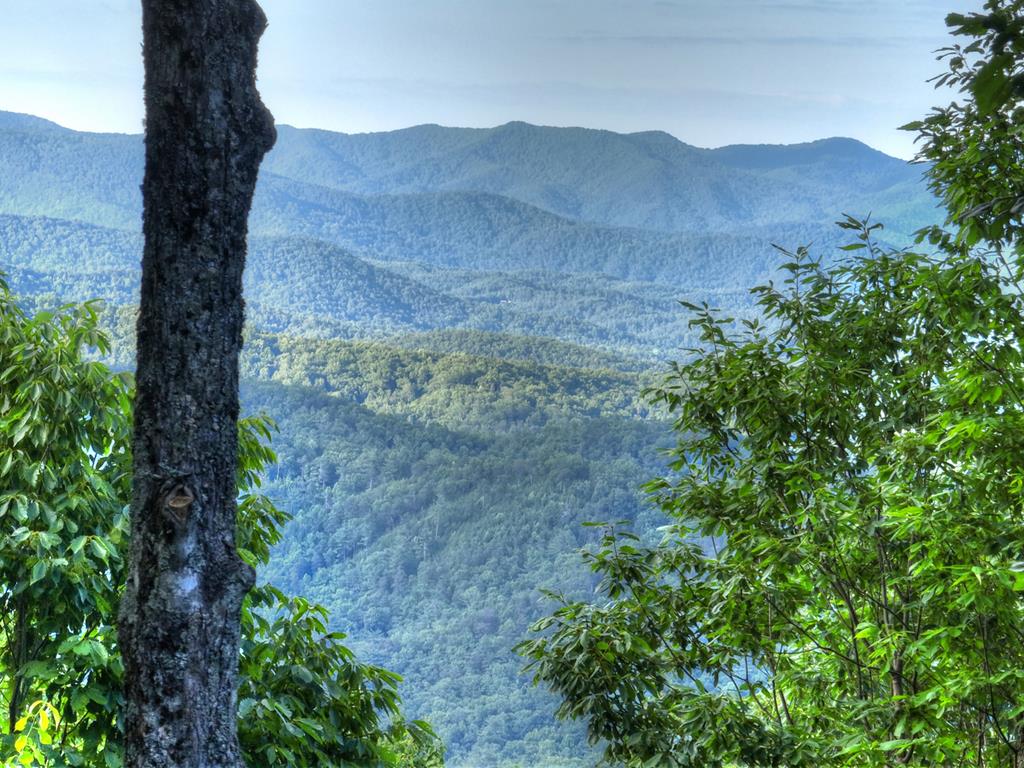 65 Utana Bluff Trail Ellijay GA 30540