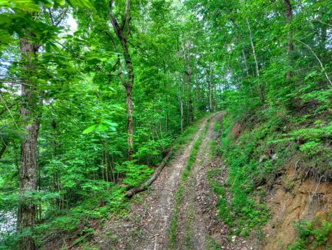 65 Utana Bluff Trail Ellijay GA 30540