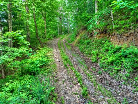65 Utana Bluff Trail Ellijay GA 30540