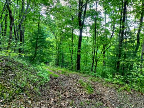 65 Utana Bluff Trail Ellijay GA 30540