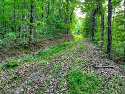 65 Utana Bluff Trail Ellijay GA 30540