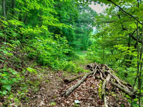 65 Utana Bluff Trail Ellijay GA 30540