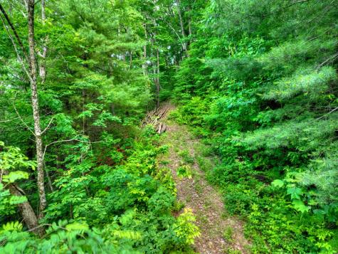 65 Utana Bluff Trail Ellijay GA 30540
