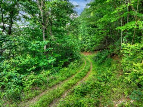 65 Utana Bluff Trail Ellijay GA 30540