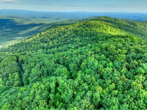 65 Utana Bluff Trail Ellijay GA 30540