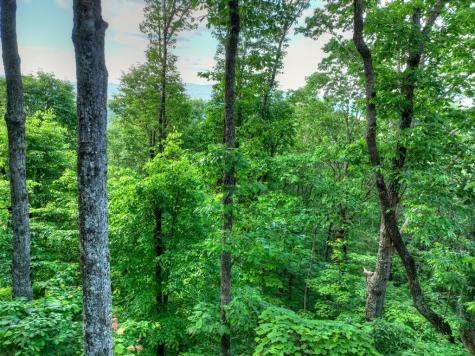 65 Utana Bluff Trail Ellijay GA 30540