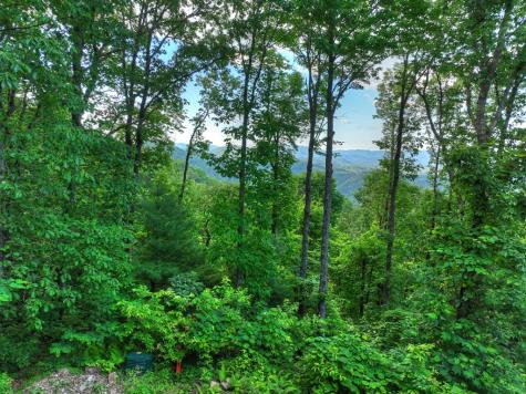 65 Utana Bluff Trail Ellijay GA 30540