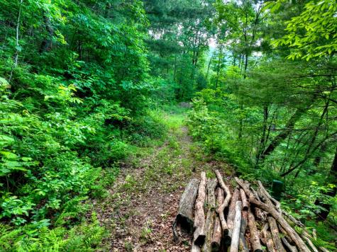 65 Utana Bluff Trail Ellijay GA 30540