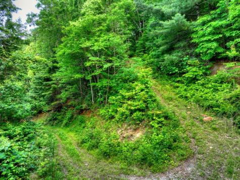 65 Utana Bluff Trail Ellijay GA 30540