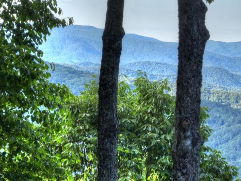 65 Utana Bluff Trail Ellijay GA 30540