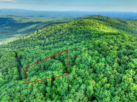 65 Utana Bluff Trail Ellijay GA 30540