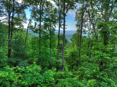 65 Utana Bluff Trail Ellijay GA 30540