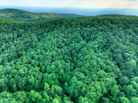65 Utana Bluff Trail Ellijay GA 30540