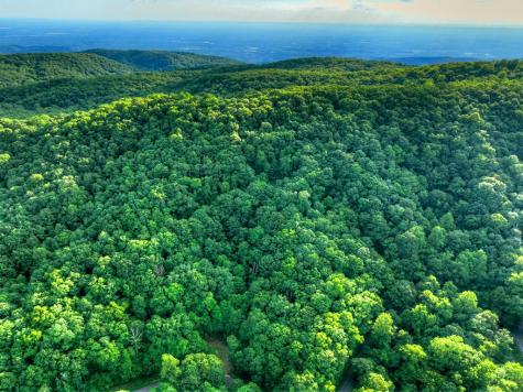 65 Utana Bluff Trail Ellijay GA 30540