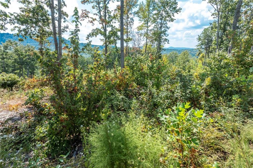 0 Highgrove Drive Talking Rock GA 30175