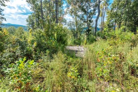 0 Highgrove Drive Talking Rock GA 30175